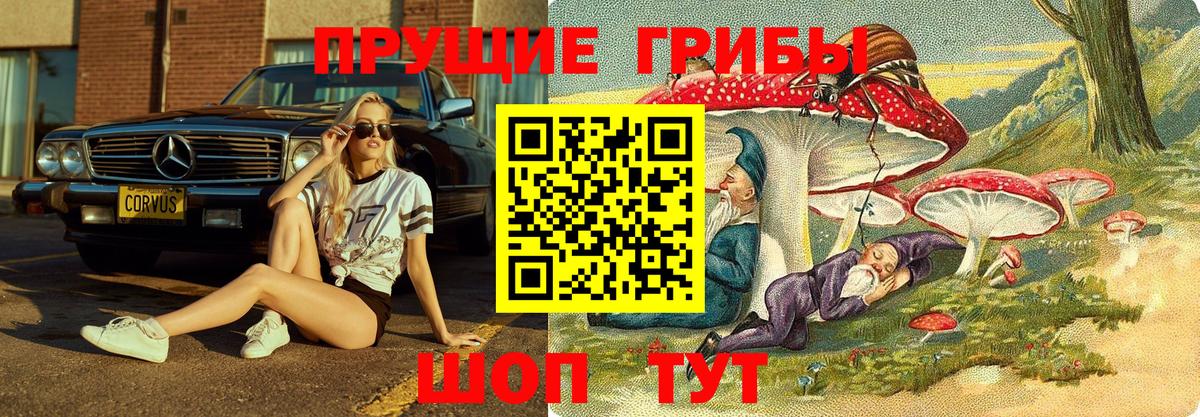 Канск  Галлюциногенные грибы MAGIC MUSHROOMS  Вход с VPN 
